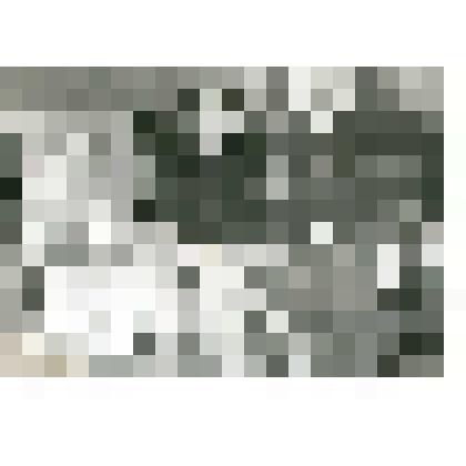 Фотография. Чернов Николай Алефьерович сборщик мебели ДОЗ