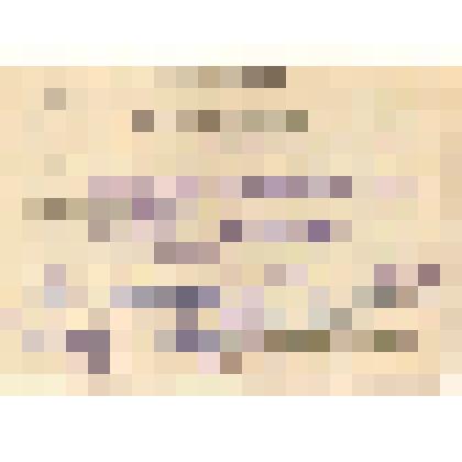 Вкладыш №2 в трудовую книжку Полевец О.В. со сведениями о работе и сведениями о поощрениях и награждениях