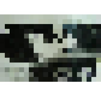 Фотография Матвеева А.В