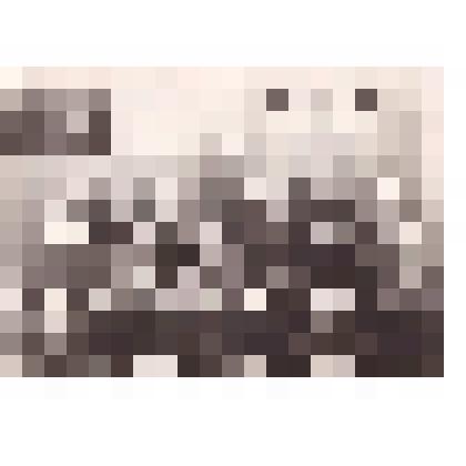 Фотография: Зверева А.В.  с группой детского сада