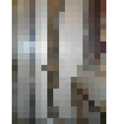 Нога мамонта