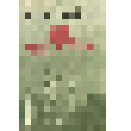 Книга "Это было на Хингане"