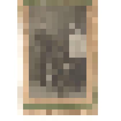 Фотография. Иванов Николай Иванович (в белой рубашке) рабочий УМЗ