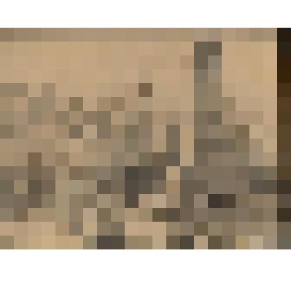 Рисунок "Место временной могилы Лермонтова"