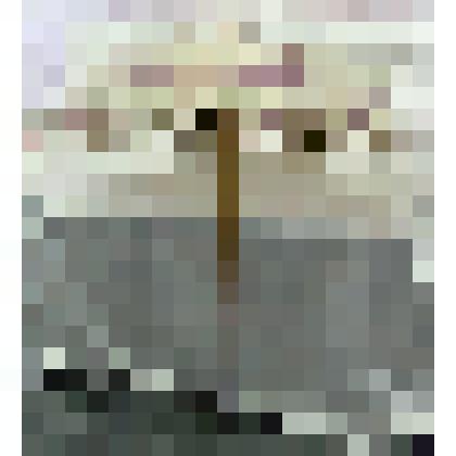 Зонт от солнца