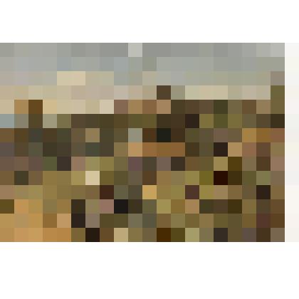 ОТКРЫТОЕ ПИСЬМО. А.А. Киселевъ. На пасѣкѣ