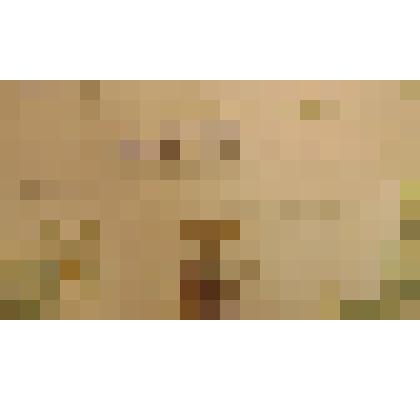 свидетельство №19765