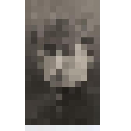 Фотография. Харин Вениамин Александрович