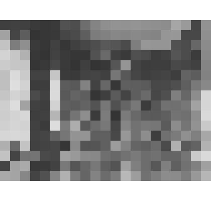 Большой дворец. Штандартная. Общий вид