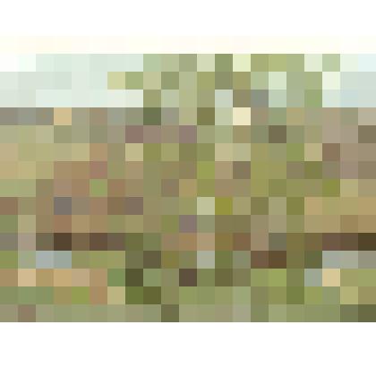 Картина. Первая зелень