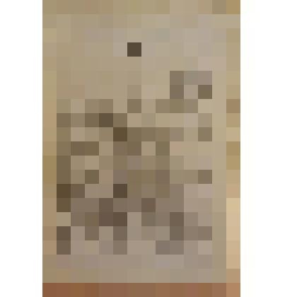 Книга. Полушин Н.А. Омут или "В город на чалочке, а из города на палочке" [Text] / "Посредник" указан в объявлении на обложке. - М. : Издательство "Посредник" (№ 87), 1902 (Товарищество И.Д.Сытина)