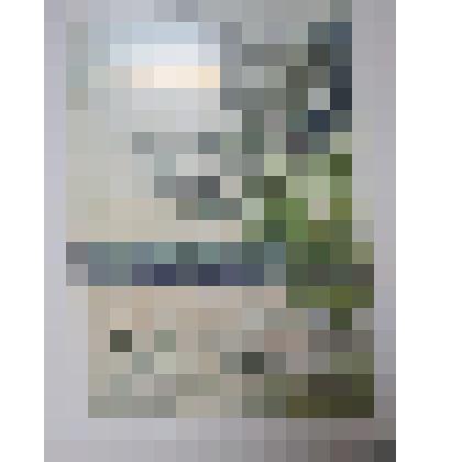 Картина (этюд) художника Титова Н.С