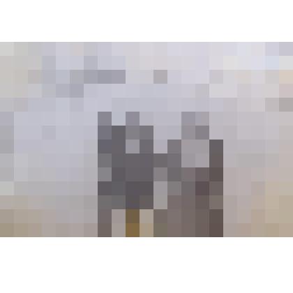 Фотография. На соревновании