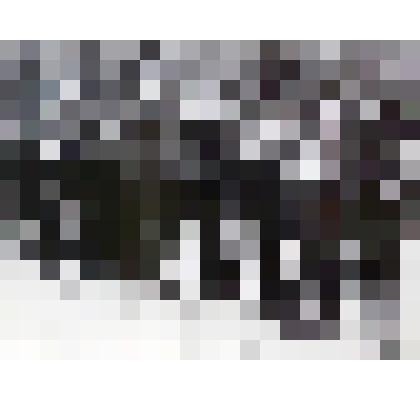 Фотография "К памятнику погибших воинов"