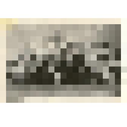 Фотография: Совещание передовиков сельского хозяйства краев, областей и автономных республик Сибири. Копия