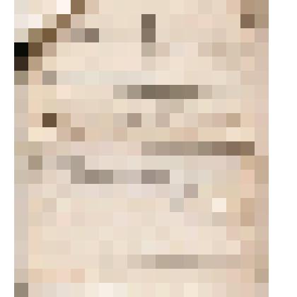 Телеграмма № 168 в г. Ирбит В.Н.Алину от Смольникова из г. Н.Челнов, 12.02.1908 г