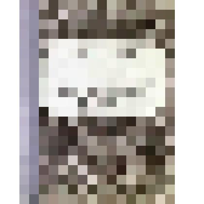 Расценка на товары чердынского купца Н.П.Алина