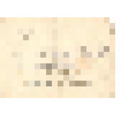 Документ. Справка об объявлении благодарности за отличные боевые действия при освобождении городов Яромержице, Зноймо, Голлабрунн и Штоккерау. Выдана гв. рядовому Калмыкову Михаилу Семёновичу