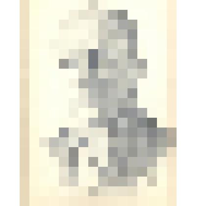 Портрет Попкова Виктора Васильевича