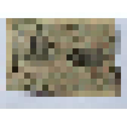 Расчетный знак Российской Социалистической Федеративной Советской Республики, АБ – 055, 1919 год, достоинством 1000 рублей