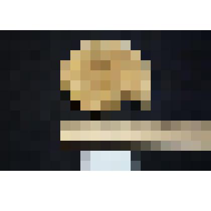 Раковина аммонита