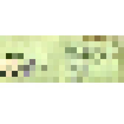 Удостоверение участника войны