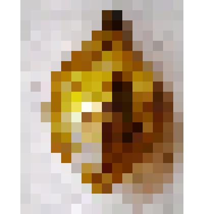 Игрушка новогодняя