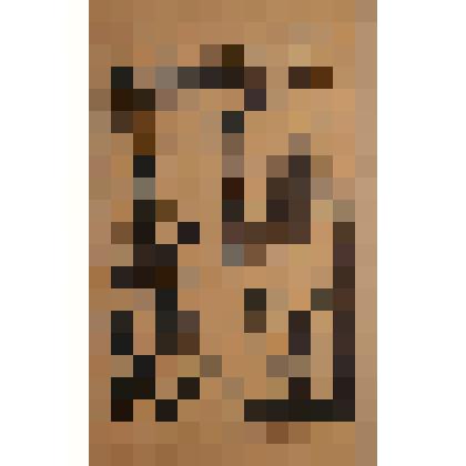 N. Piligrimas Exlibris