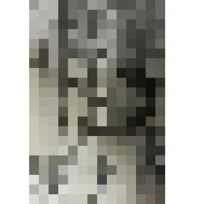 Фотография. Изготовление памятника «Сергея Лазо»