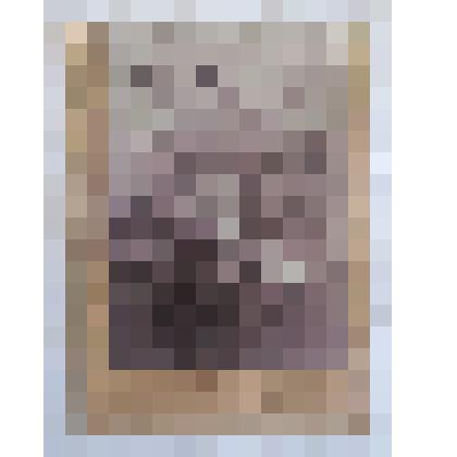 Фото на паспарту