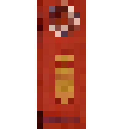 Лента Чемпиона РСФСР Бурмистрова Леонида