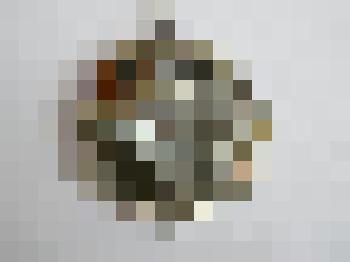 Значок "Олимпийцы среди нас. II место"