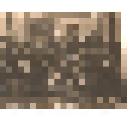 Фотография на картоне. Курсы заведующих и инструкторов школ при Ц.И.П.К.К.Н.О., в 3-м ряду 4-я слева – Гослицкая В.П.; в помещении. г. Москва