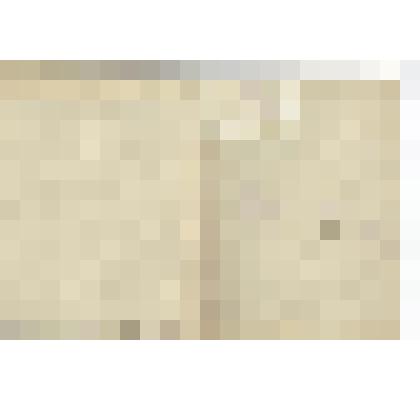 Членский билет. Касса взаимопомощи при Сибкрайземуправлении. Профессиональный Союз сельско-хозяйственных и лесных рабочих СССР