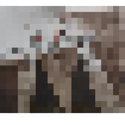 Ставят сети