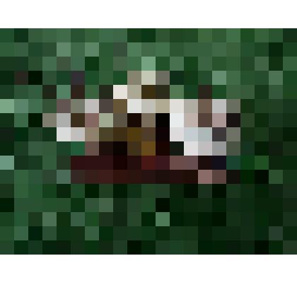 Грибы-грузди. Композиция из 3-х керамических грибов груздей на деревянной подставке