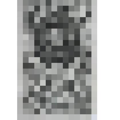 Портрет Джона Рассела, I графа Бедфорда