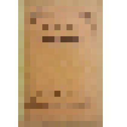 Книга. Русские пословицы [Text] / Издательство в книге не указано. - М. : Издательство "Посредник" (№ 356), 1904 (Товарищество И.Д.Сытина)