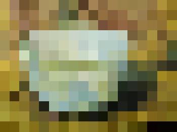 Этюд. Пиала