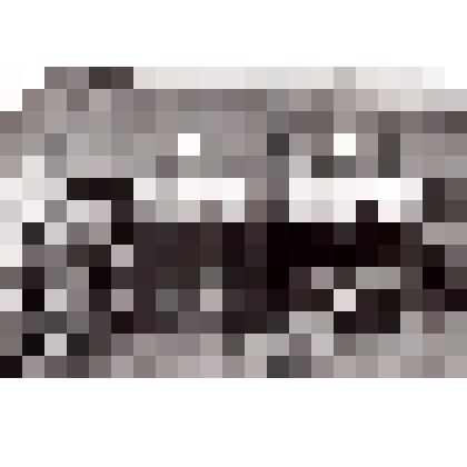 Фотография. Пионерские вожатые