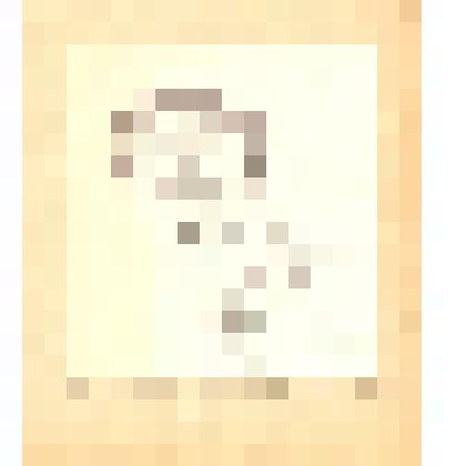 Рисунок «Верка»