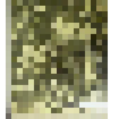 "В мастерской отца"