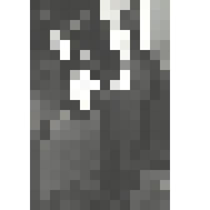 Фотография "Вручение грамоты"