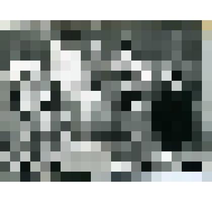 Фотография. Чемпионат СССР 1976г