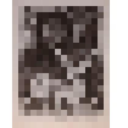 Exlibris Саломея Львовна Чепик