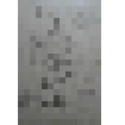 Рисунок  «Богатырь»