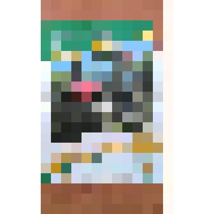 Плакат агитационный Всероссийской сельскохозяйственной переписи 2016 г