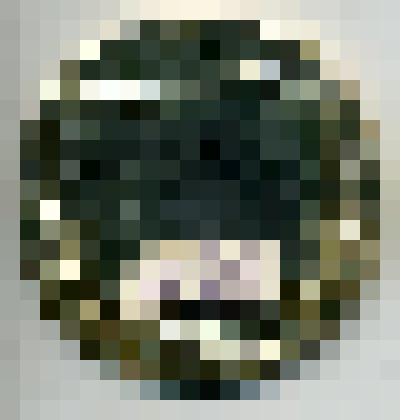 Медаль "55 лет"  Севастьянова Климентия Романовича