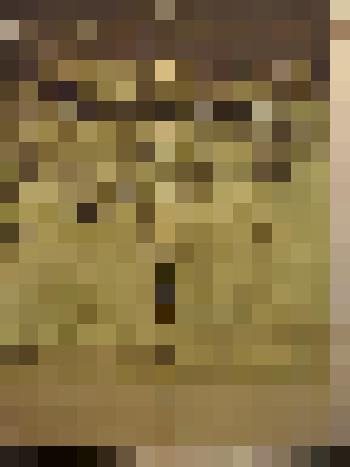 Афиша. Театр юного зрителя имени А.А. Брянцева. Булат Окуджава. Будь здоров, школяр. Повесть. Л.: Типография Ленуприздата № 10 им. Н. Григорьева. 16.08.1981