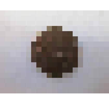 Монета достоинством 1 копейка 1990 год